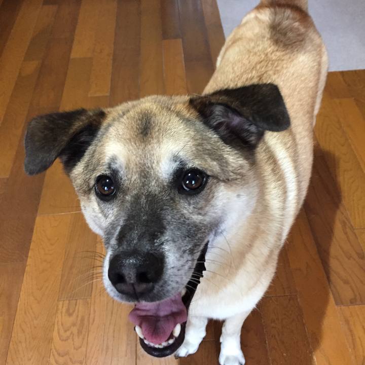 68bb459a a279 4bbd b05a 2aeb88aed210