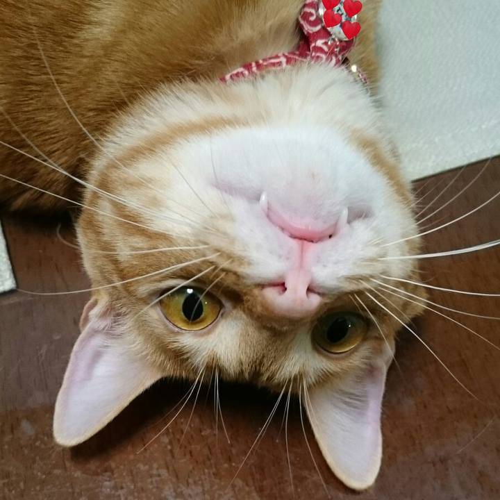 68bb95cc 1290 4f17 9aa7 a3c7dc455bb9