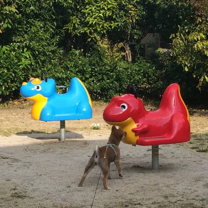 68bba646 8d5c 4800 84d9 b7ec009bdf8c