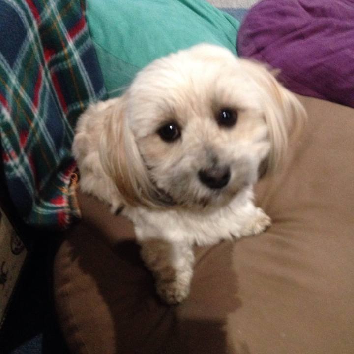 68bd116f 54a9 4af5 bdb1 c180e31df3aa