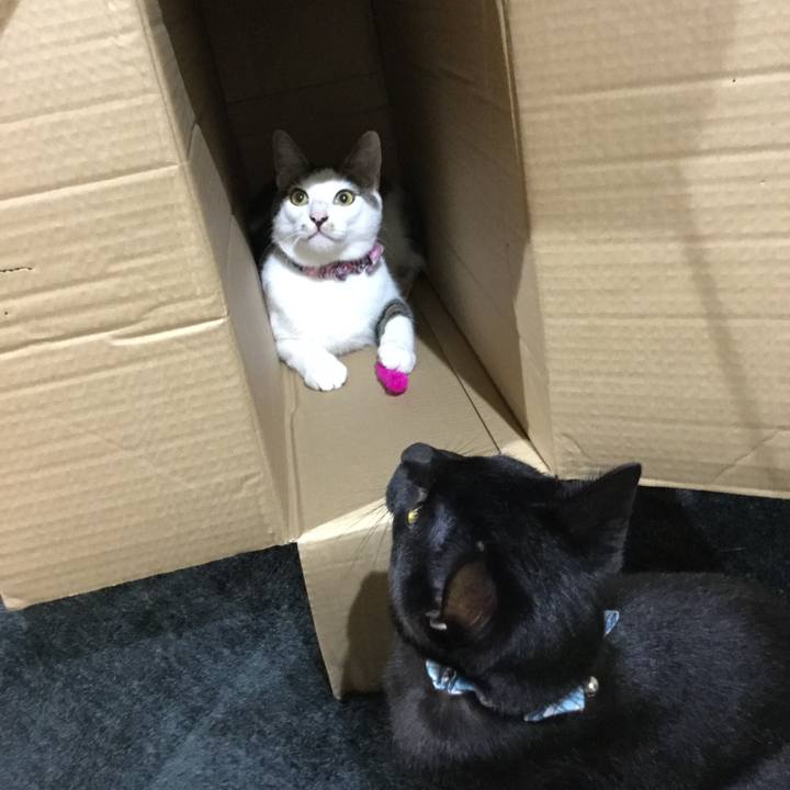 68bd31b3 7f70 4d0e a68f f10b1f2b9bce