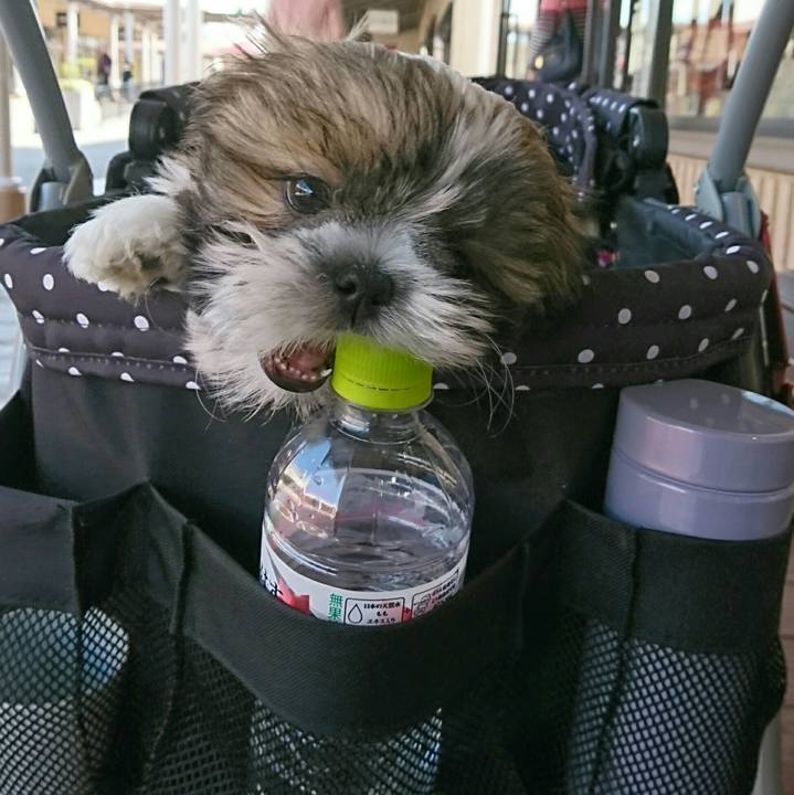 68be96dd 7faf 4e7d a772 536b2e70c5c0