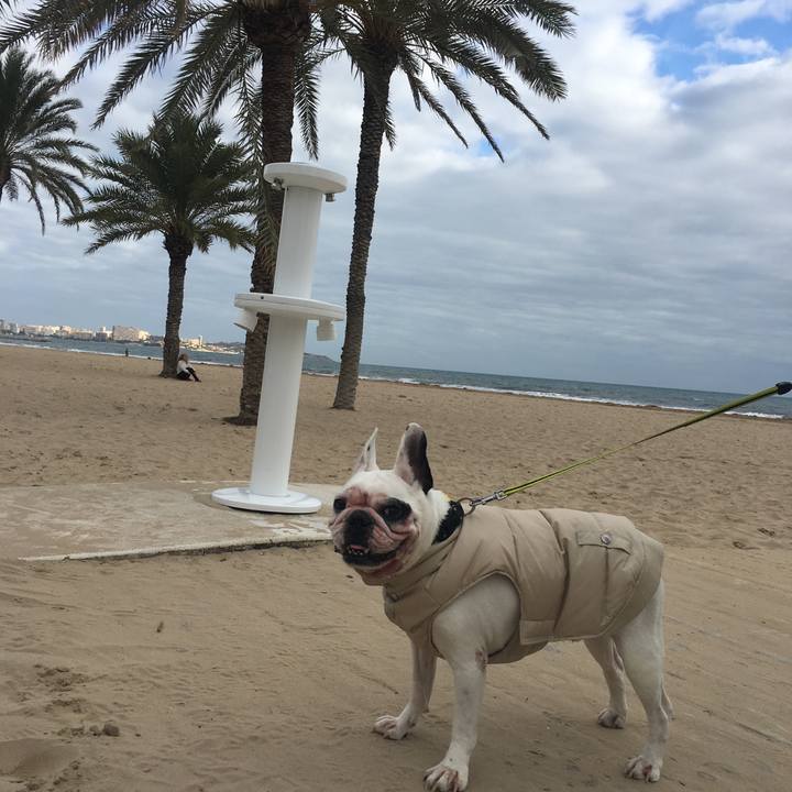 68bf0daf b73b 4ab3 8a9c de3a41fe0fbe