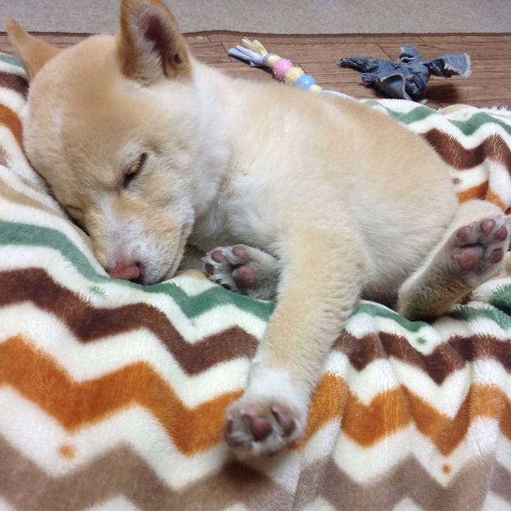 68bf2efb 1aba 4737 b3e9 04db37a8c6a6