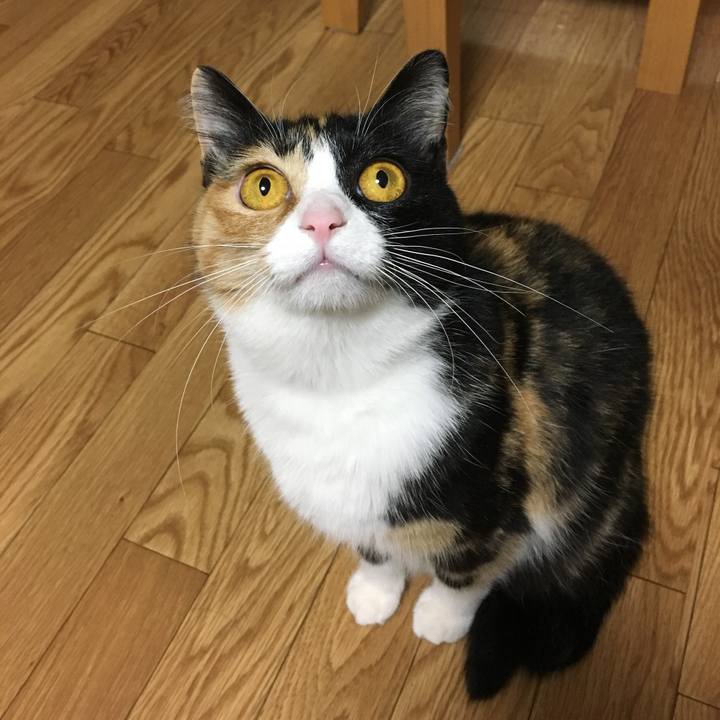 68bf4e73 d82e 451b befb c5c25e3fbf42