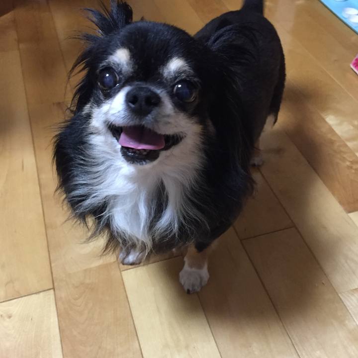 68bfc472 aba4 4f84 a297 0dd45b68da8f