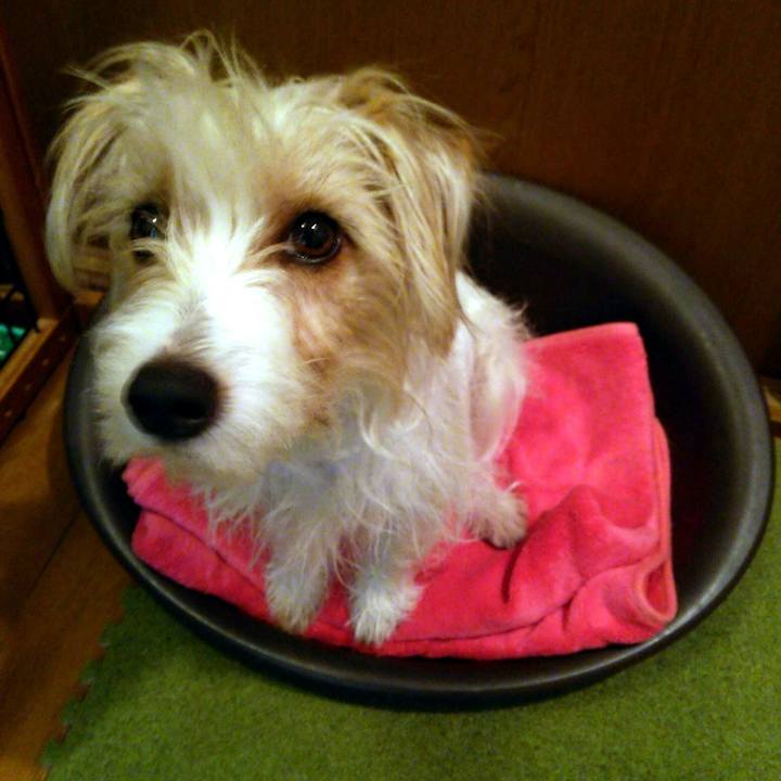 68bfcdf4 f9e0 4f14 b67e 0fe39b4e5456