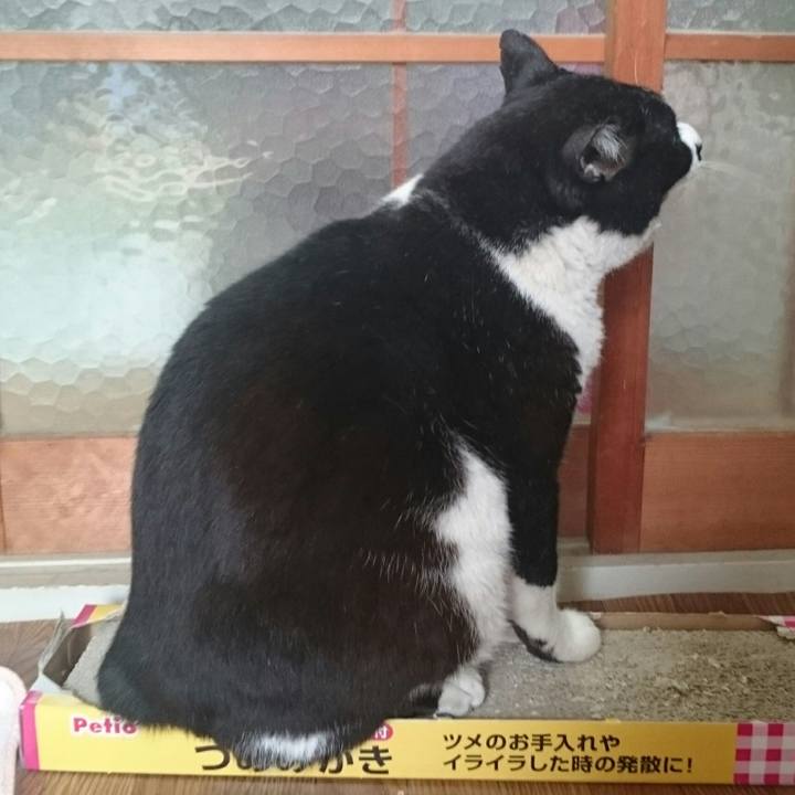 68c0450a 1d98 411d bf02 f2a5a330a216