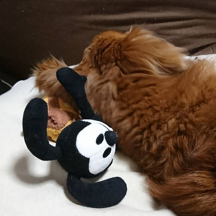 68c08695 e16f 4eb4 8902 95a296687dcc