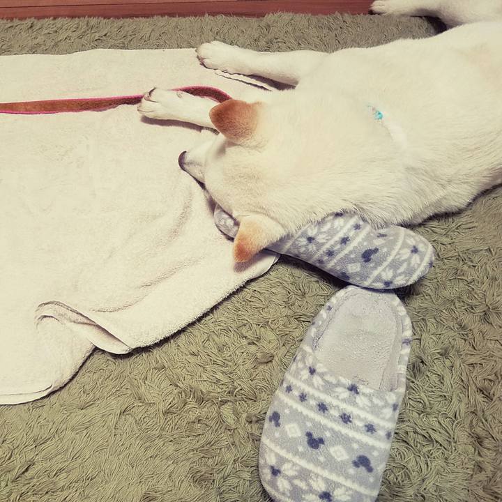 68c0f1e6 9a3f 48e7 97ac fcea1f2a04b8