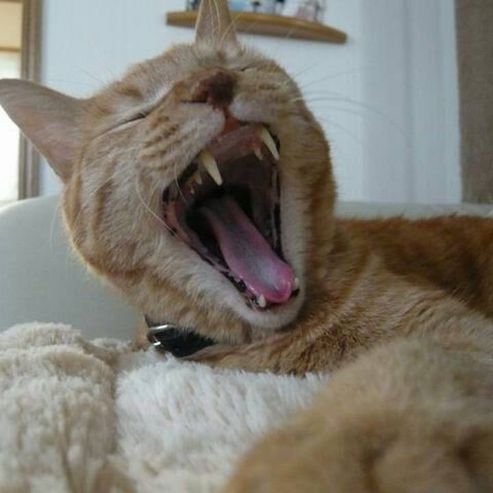 68c1327a 3255 48bb a12f 371e26ef5af9