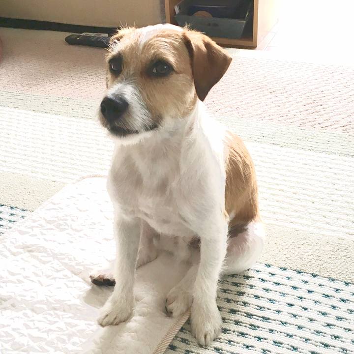 68c1853b a369 4f75 9404 1b95a0f1603b