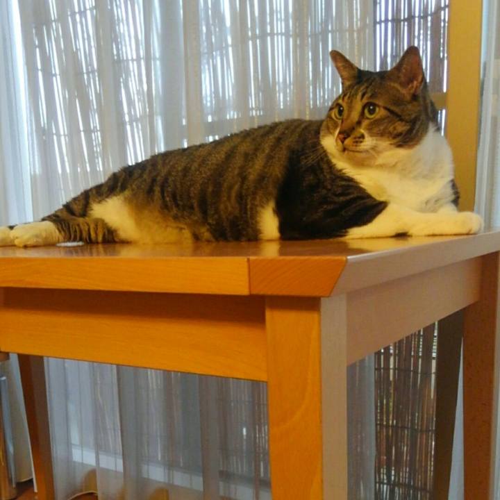 68c19e87 2c4d 41c4 a4b0 74058d16593d