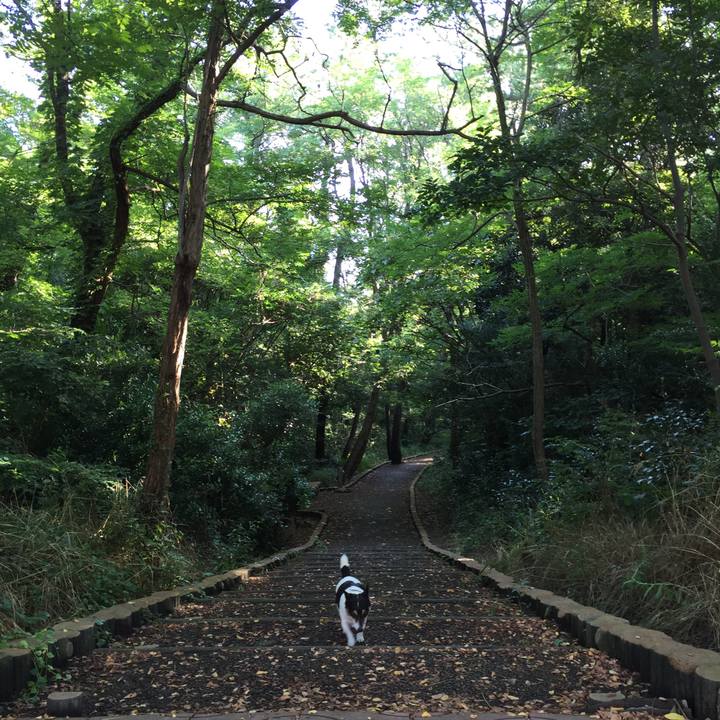 68c1c043 3a6d 497d 99de 208c4267931e