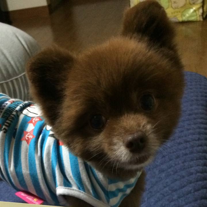 68c29423 c17b 42cd bd1d 0eec1041f661