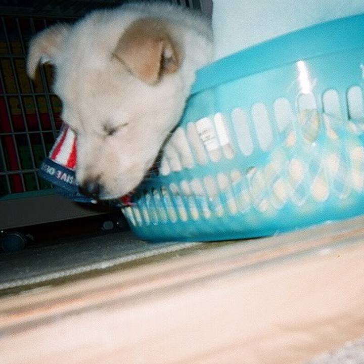 68c4acf5 1888 437e 81de 321f6352c2d0