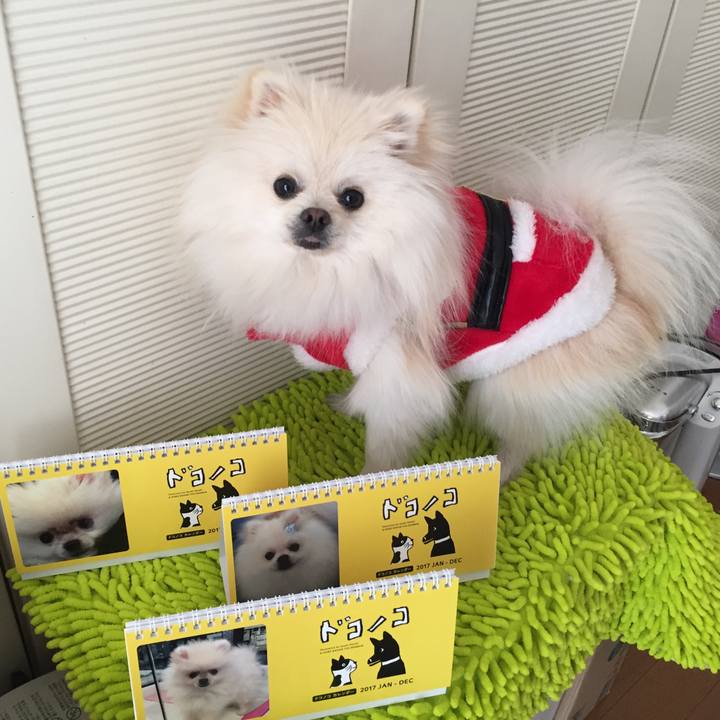 68c4e419 86e5 4598 a7c7 2ca85a8de7f4