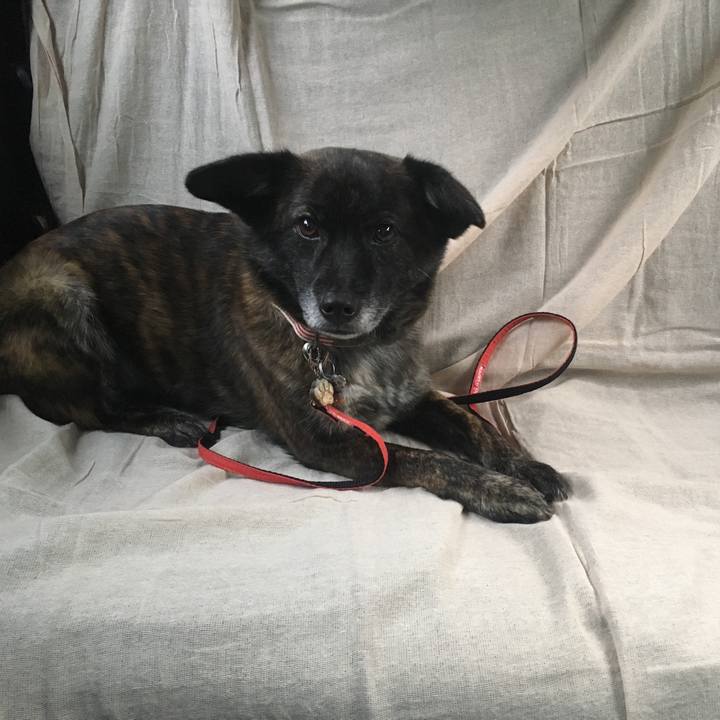 68c5650b 0407 4f63 9241 b3a65bebca8d