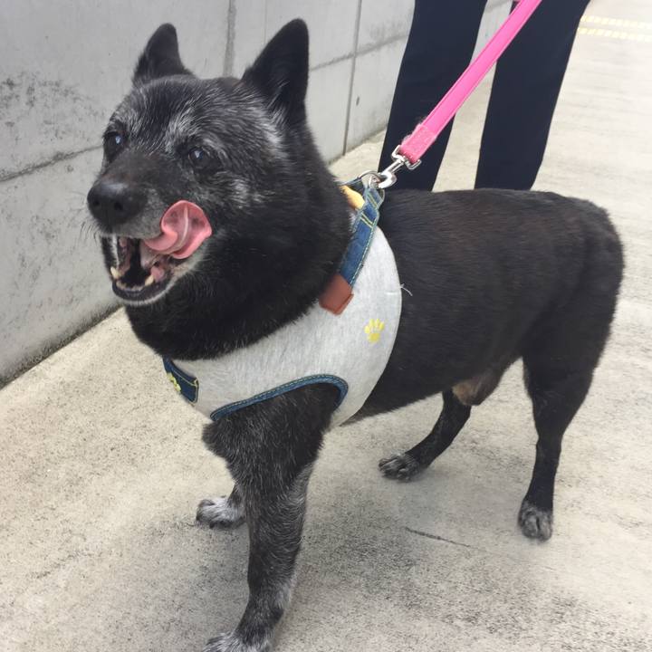 68c68abd 9c88 4ee1 9879 82bee13460b6