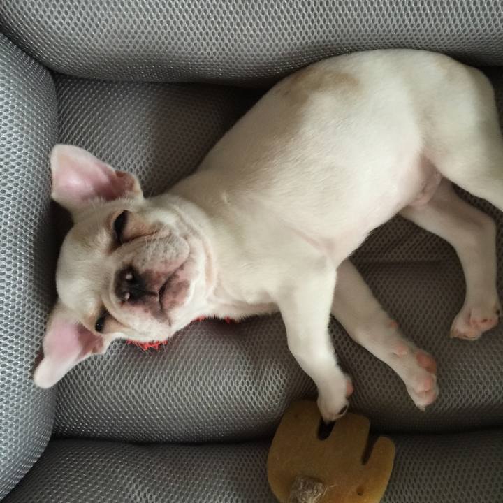 68c7bac6 068b 4739 87d9 bcf3e4c7332a