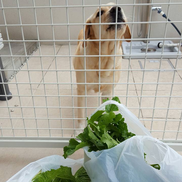 68c820b2 ceb9 41df 8c4f 6fc747ef2333