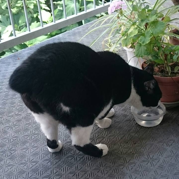 68c8656a 794a 44a5 af32 ed078c4e7d56