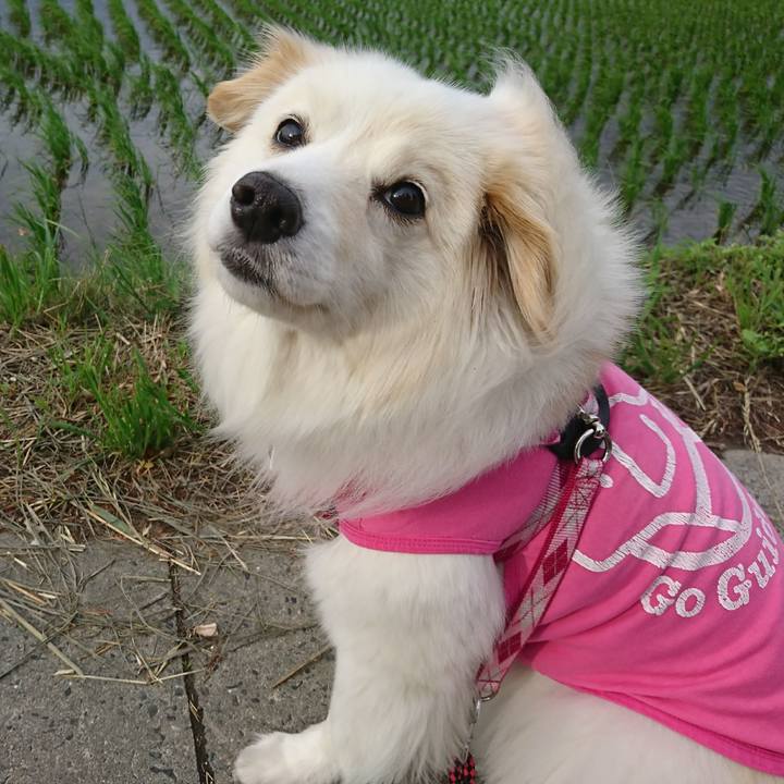 68c97566 c9ad 4654 81a8 f9e06534ef82