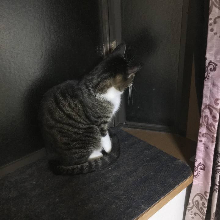 68c9bf2c d6af 48d0 ae3e b1aa076b7b7c