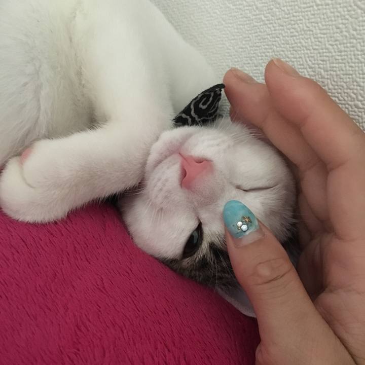 68ca1e75 d7f9 47ab ba9a fb66fc678726