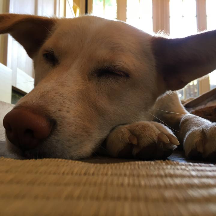 68ca743e cced 427f 958a e4d273db7fb8