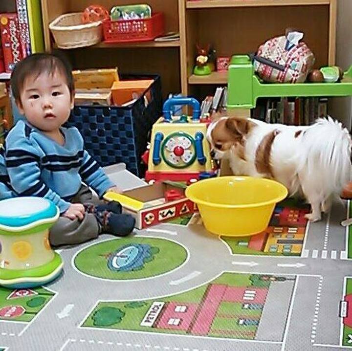 68cb08b4 7fe4 4745 884d 06065ad46ccb