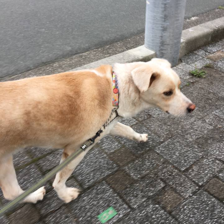 68cb816f b412 4903 beac 8c9f6a5507ad