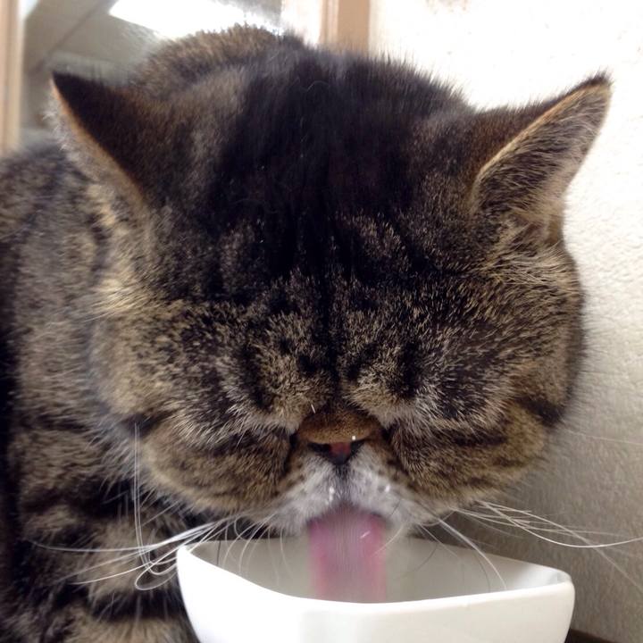 68cb8799 1656 43c8 8c74 eb1eaf29faab