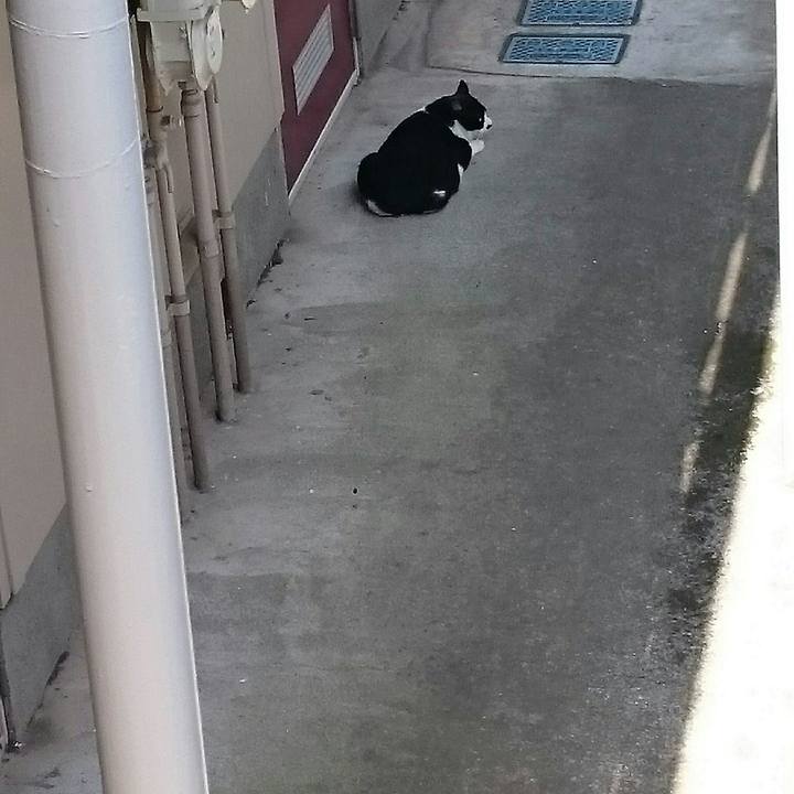 68cc49a4 2053 4d1b 89dd 8a49d5d6b9e2