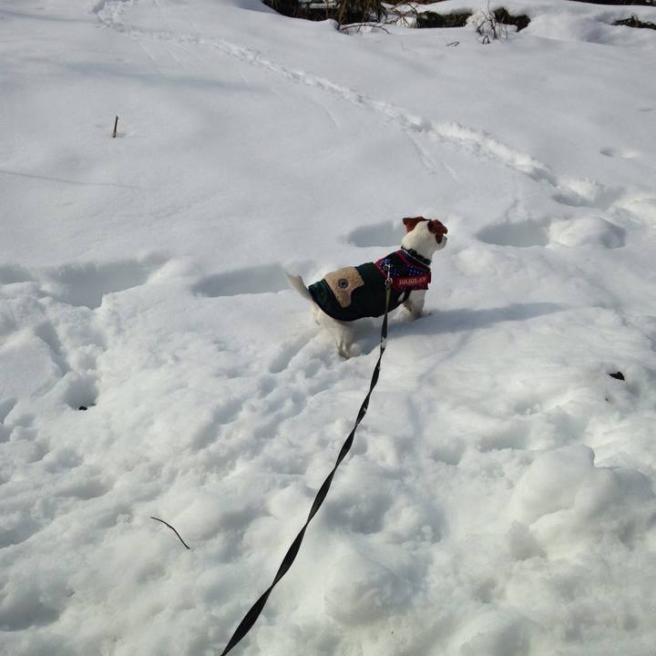 68cca992 b05e 4196 bef9 a5e4a41dc6f8