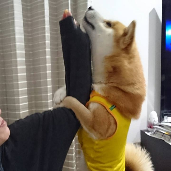 68cd043e a3a1 4a69 9a75 819887d80c0c