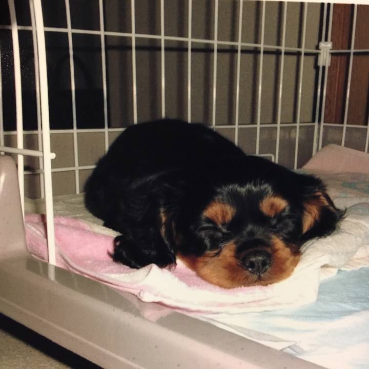 68cd4668 7537 4c85 b8df 8abbd4793a9a