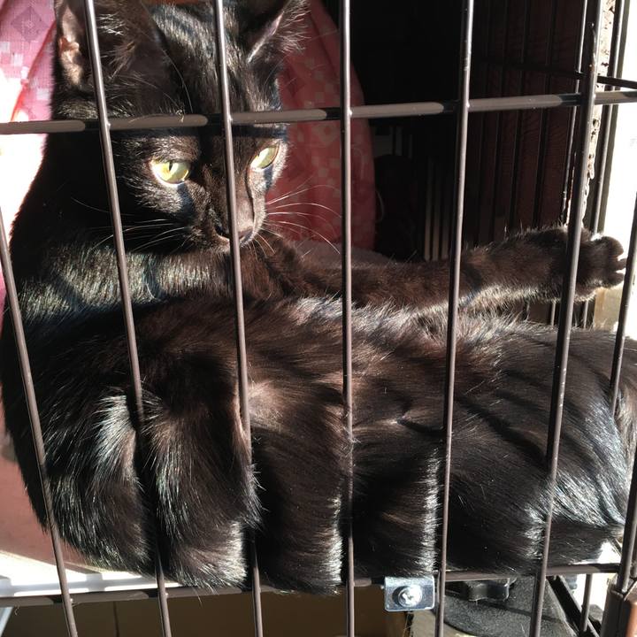 68cd4abf f06e 46c3 aa15 cae41aa6589e