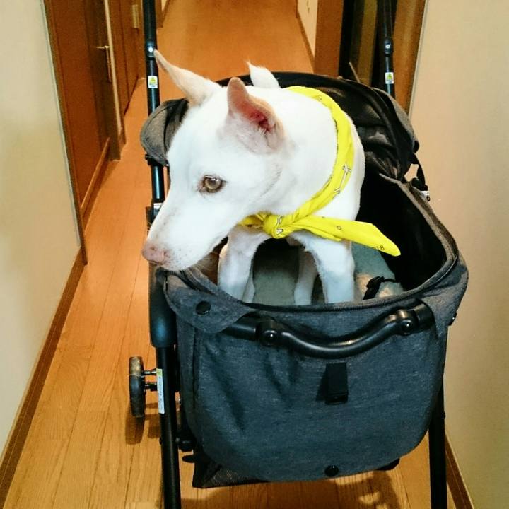 68cd6aa9 f7f6 45bc a8f1 c802c27e8466