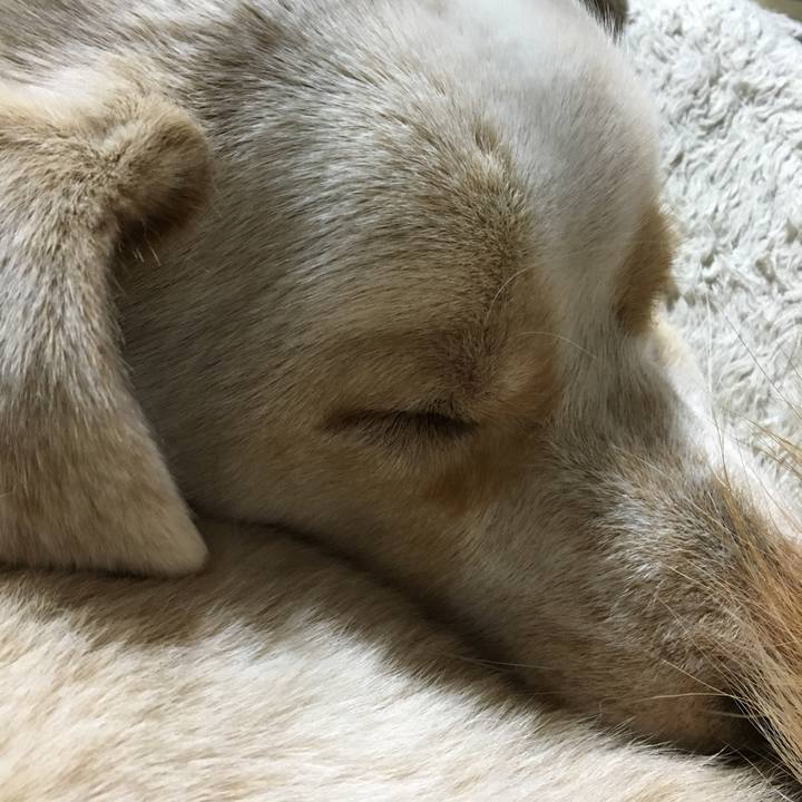 68ce6228 31ab 4d04 8954 28c01b884c26