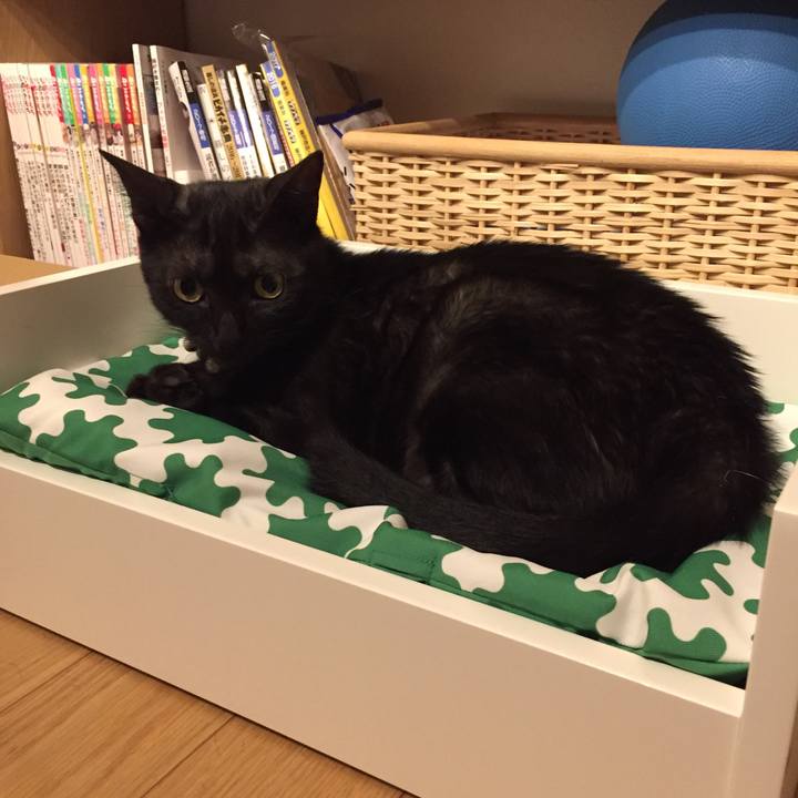 68ceaaeb 0667 4a3b 9475 8385b8a6c5c0