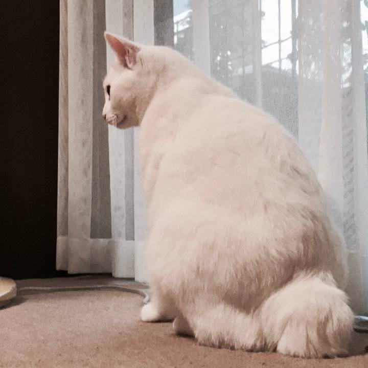 68cf2825 8af7 4441 876b 323547fb5b1c