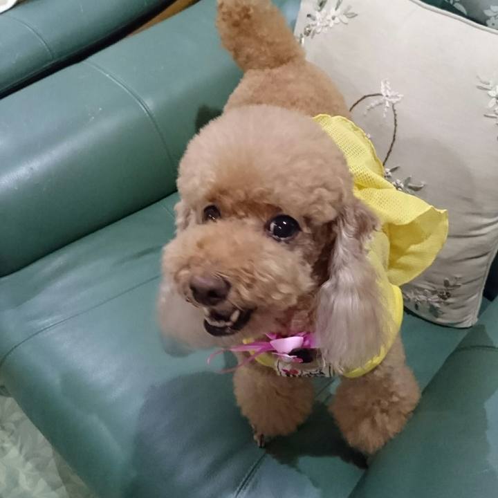 68cf96bc fe13 4054 b868 25585759836b