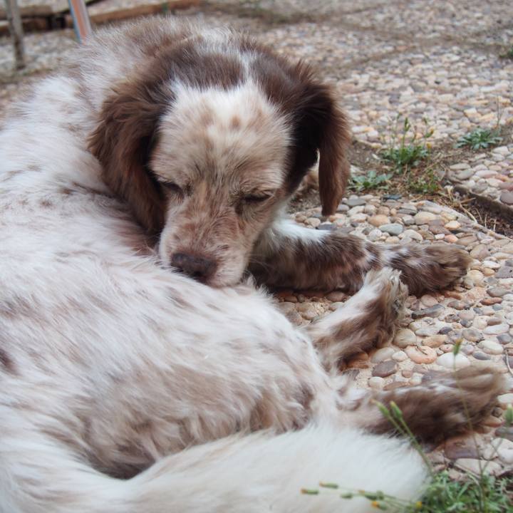 68cfadb8 ef7a 46a0 b103 01d4f721ddd8