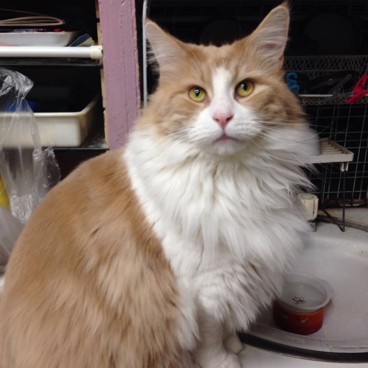 68cfecec a1d1 4e59 bb7a a5d7decb312d