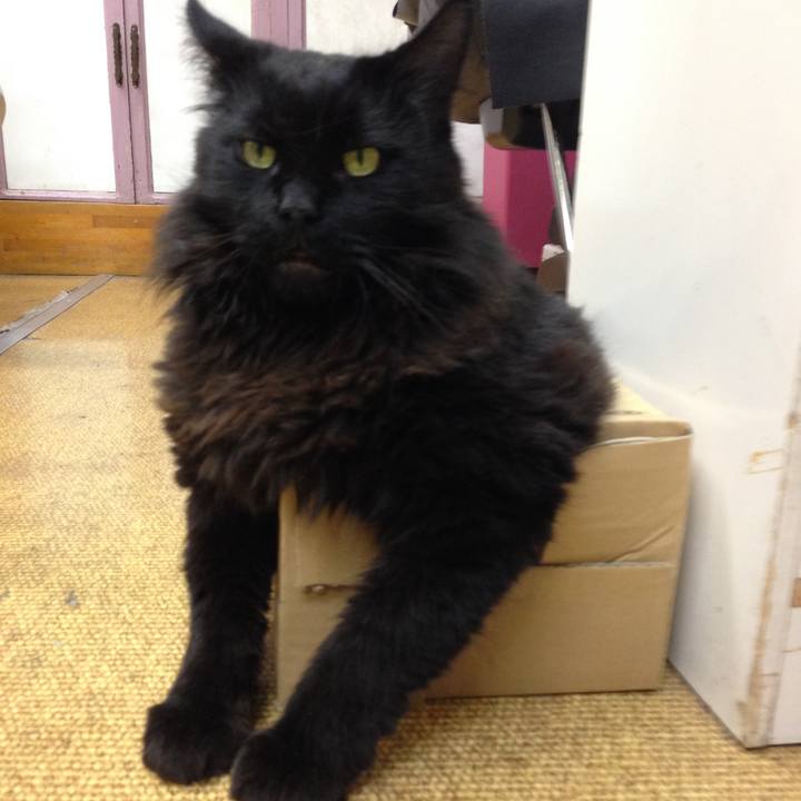 68d08c3f 2a88 4f80 a295 9e8f52a25c28