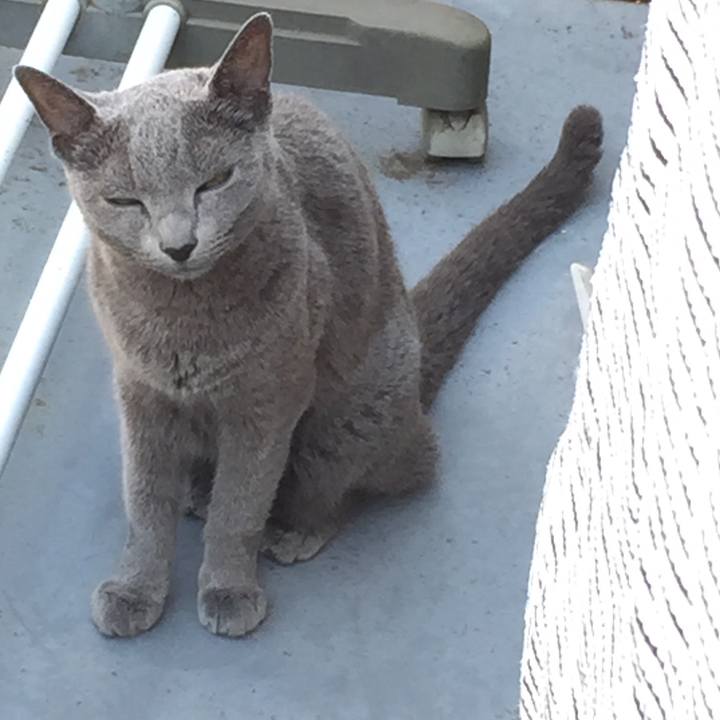 68d0c991 c20f 4e2b b68f a8fd577fb64e