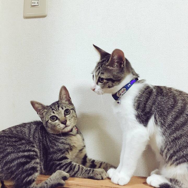 68d0d0a1 00fb 40bb b9f9 873dee7edca4