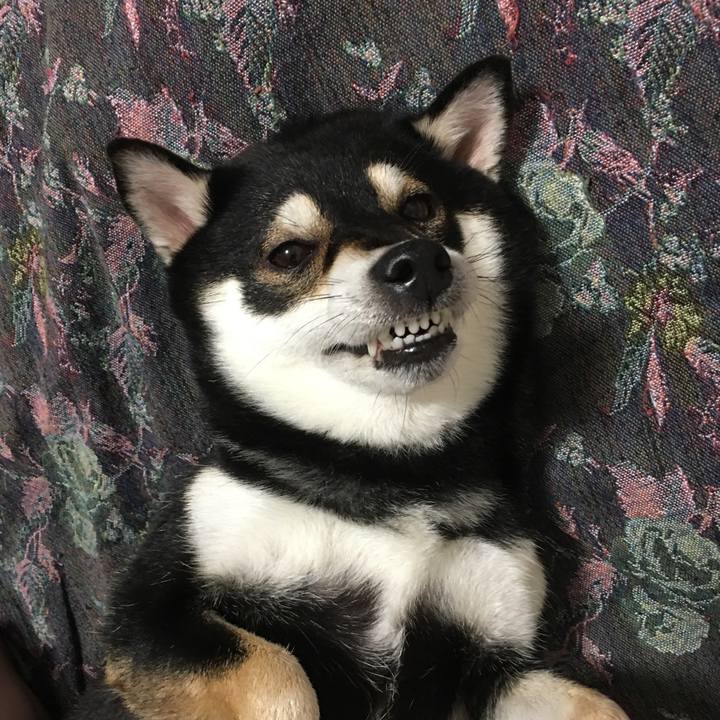 68d21647 3790 4cc1 8e6b 04579934dbbc