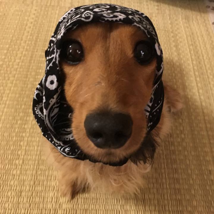 68d29f37 62b6 46a7 9b84 1d5c226cbe31